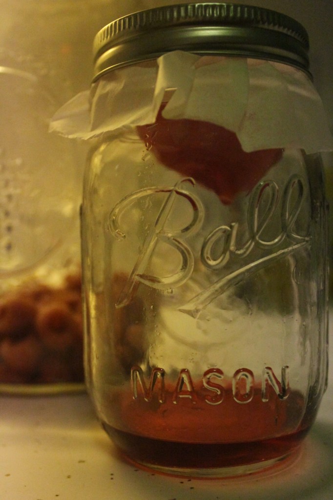 Filtering Raspberry-Infused Vodka #nofilter also #noinstagram