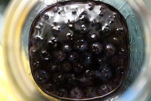 boozed-up blueberries
